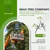 Maui Tree Company