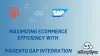 Maximizing eCommerce Efficiency with Magento - SAP Integration