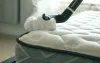 Bed Bug Pest Control Singapore | Bed Bugs Removal Singapore