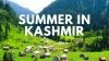 Top reasons why you should go to Kashmir in Summer Vacations 2021
