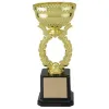 GOLD WREATH CUP SERIES
