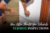How Often Should You Schedule a Termite Inspection?