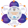 Outsource Online Medical Transcription Service Provider | CrescereMed