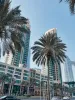 Free Zone Business Setup Consultants Dubai