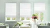 Roller Shades for Windows