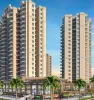 SCO Plots for Sale in Gurgaon