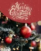 Free Christmas Cards & Group Greeting eCards