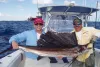 Miami sailfish charters 