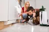 Expert Pest Control Services To Hire For Cockroaches And Bed Bugs