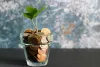 Top 5 Best Coin to Invest in 2023 - Cofi Magazine