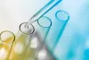Best Practices for Selecting Suitable Incubation Temperatures and Times for Microbiological Tests