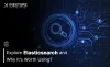 Explore Elasticsearch and Why It's Worth Using?