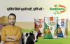Increase the profits of cattle farming with best priced cow feed
