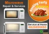 Microwave Repair & Services