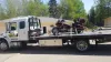 emergency towing in Edmonton