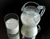 Order Bulk milk protein powder-90% concentrate Manufacturer & supplier