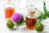 Liver Detox: Fact Or Myth? | Puritan's Pride Blog