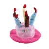 Birthday Boxes For Dogs – MILOSBOXES