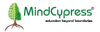 Advanced Digital Marketing certification Training-Mindcypress