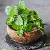 Amazing Benefits Of Betel Leaves Nobody Told You