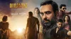 mirzapur season 1