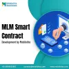 MLM Smart Contracts Development Service