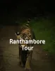 Book Ranthambore Tour Packages with Rajasthan Holidays