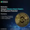 Binance Smart Chain development services