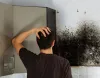 Top-Notch Mold Abatement Sacramento Services