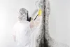 Mold Removal - Should You Do it Yourself Or Call a Mold Remediation Specialist?