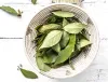 6 Amazing Health Benefits of using Bay Leaf