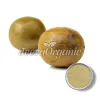 monk fruit powder, best monk fruit powder, bulk monk fruit powder, monk fruit powder supplier