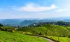 Short Tour of Wayanad 3 Nights 4 Days | Indian Holiday