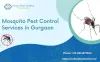Mosquito Pest Control Services in Gurgaon