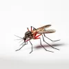 Battling the Buzz: Effective Mosquito Killers and Mosquito Sprays