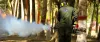 Mosquitoes Fumigation | Mosquitoes Killer Spray | Dengue Control