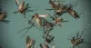 Mosquitoes Control Barrie - Mosquitoes Removal Barrie | Awesome Pest