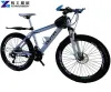 Mountain Bike | Mountain Bikes for Sale
