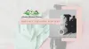 Move Out Cleaning Services — ImgBB