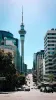 Sydney to Auckland – Moving Home