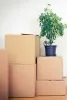 Moving Tips | Peluso Movers