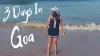 10 Things to do in Goa apart from Beaches | TrueHAB