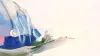 MRCP PACES: Tips for Guaranteed Success