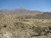  Muhammad's visit to Ta'if, Hadith about taif. - Islam Live 24 