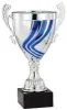 Cup Trophy Awards
