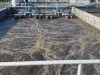Water Treatment Plant Manufacturers | Industrial Wastewater Treatment | EuroteckIndia