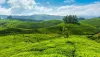 Kerala Tour Packages for Family - Kerala Family Packages @ 4999/-