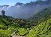 Travel Destinations in India - Tourist Places, Spots, Sightseeing