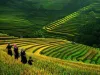 Top Spring break destinations with exotic experience 2020 | Vietnam tours