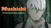Mushishi Anime: A Hidden Underrated Gem in Anime World